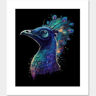 peacock Posters and Art